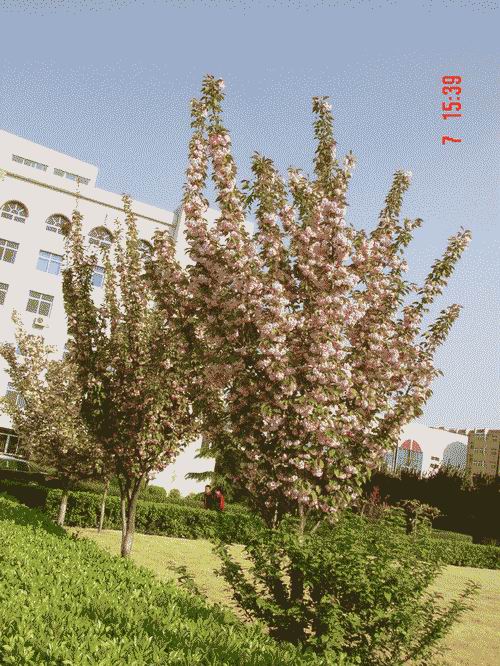 ⣺ɽũҵѧԺ Ķ5459